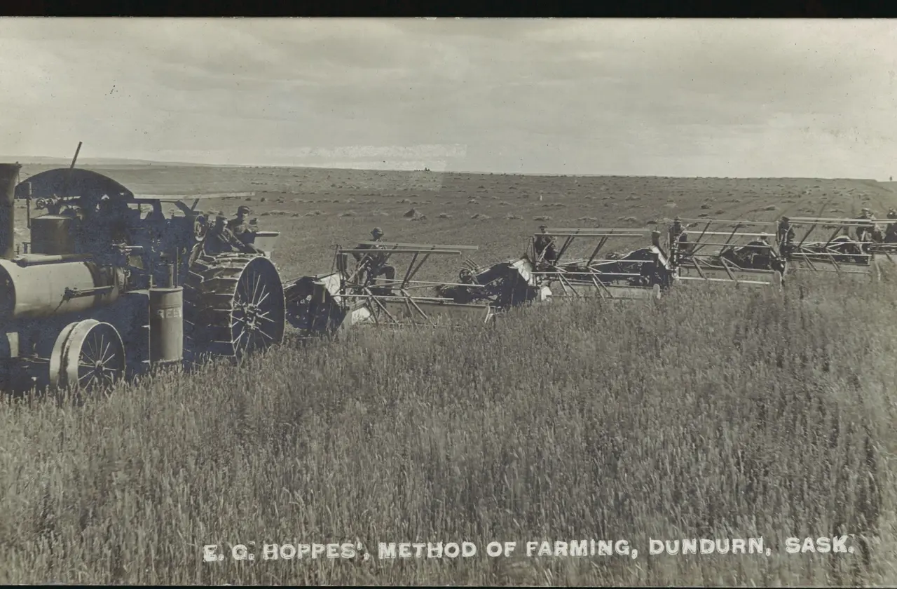 E. G. Hoppe's steam tractor and binders harvesting near Dundurn, about 1912